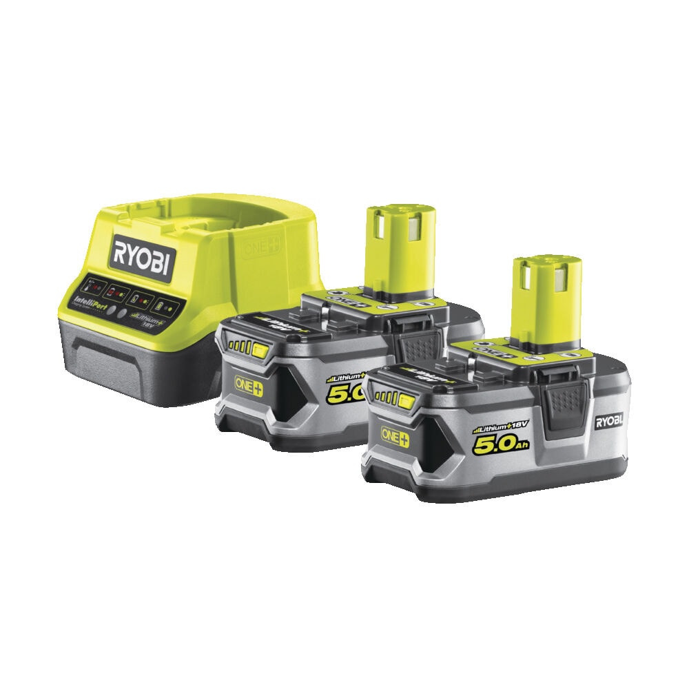 Аккумулятор (2) с зарядным устройством RYOBI RC18120-250 система ONE +, фото 2